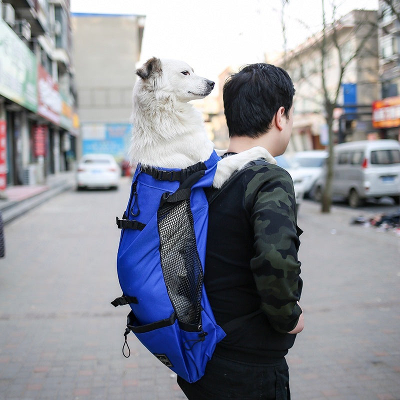 Comfortable Dog Carrier for Outdoor Trips