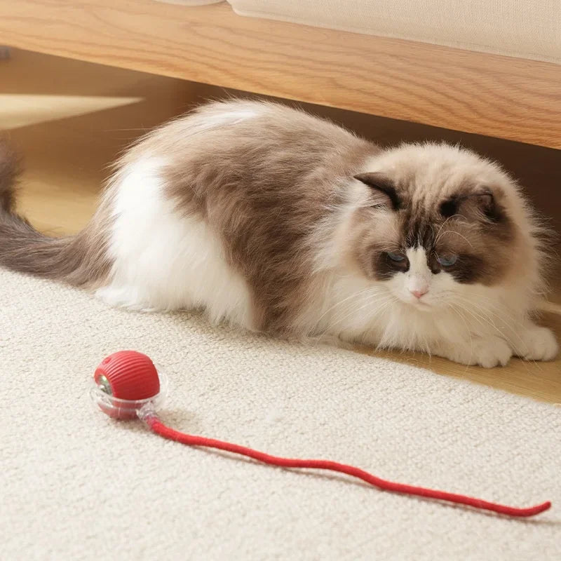 Automatic Interactive Cat Ball – Smart Rolling Toy with Tail & Mouse-Like Movement (Rechargeable)